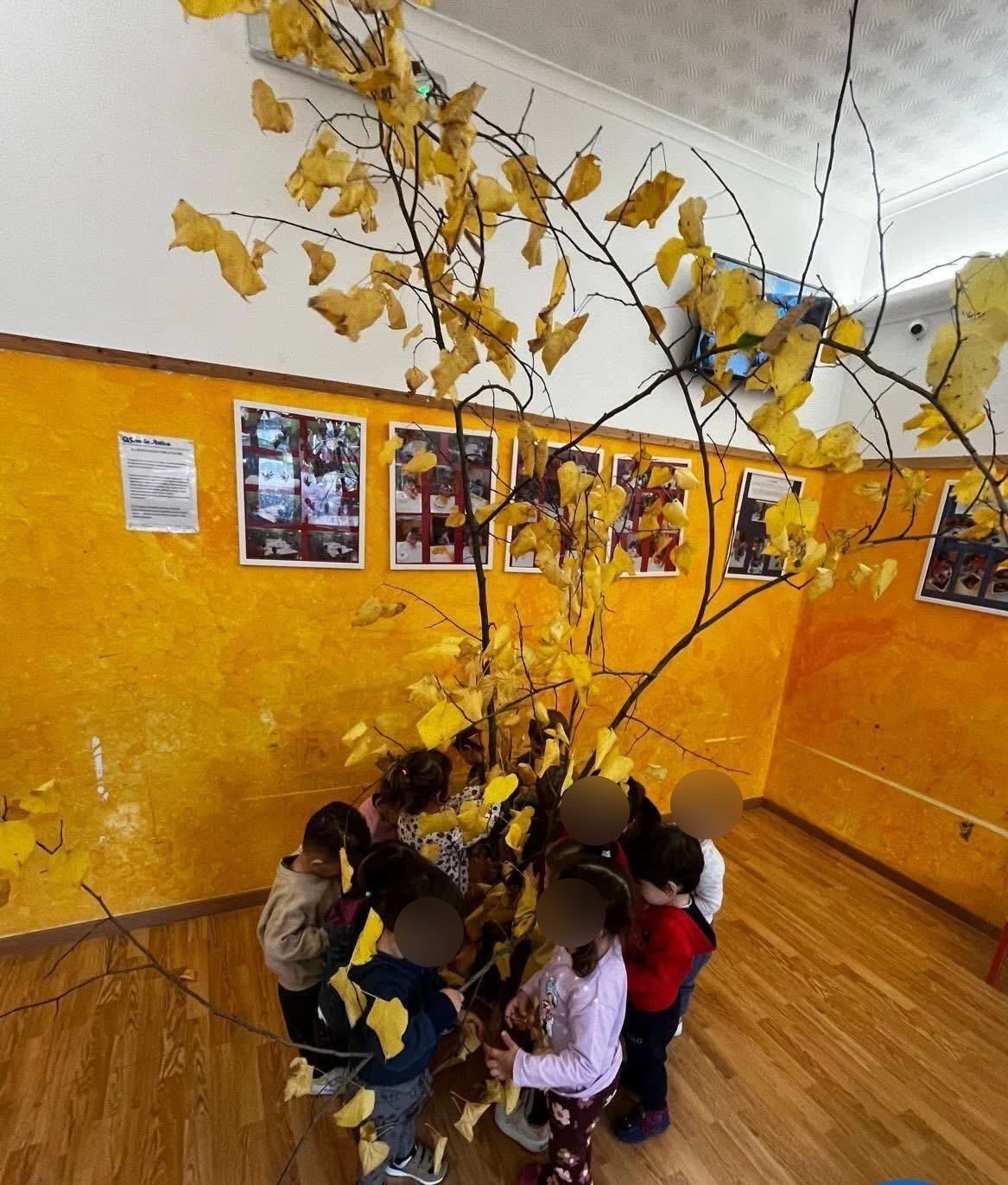 Attività Scuola Attiva 36